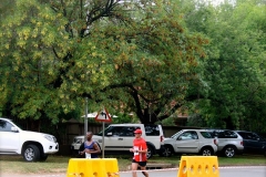 1653420_524663124310706_564632521_n 2